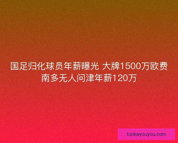 国足归化球员年薪曝光 大牌1500万欧费南多无人问津年薪120万 国足归化球员年薪曝光 大牌1500万欧费南多无人问津年薪120万
