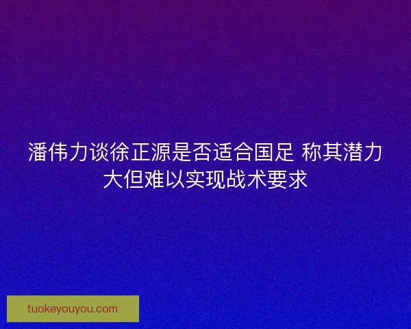 潘伟力谈徐正源是否适合国足 称其潜力大但难以实现战术要求 潘伟力谈徐正源是否适合国足 称其潜力大但难以实现战术要求