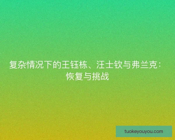 复杂情况下的王钰栋、汪士钦与弗兰克:恢复与挑战 复杂情况下的王钰栋、汪士钦与弗兰克:恢复与挑战