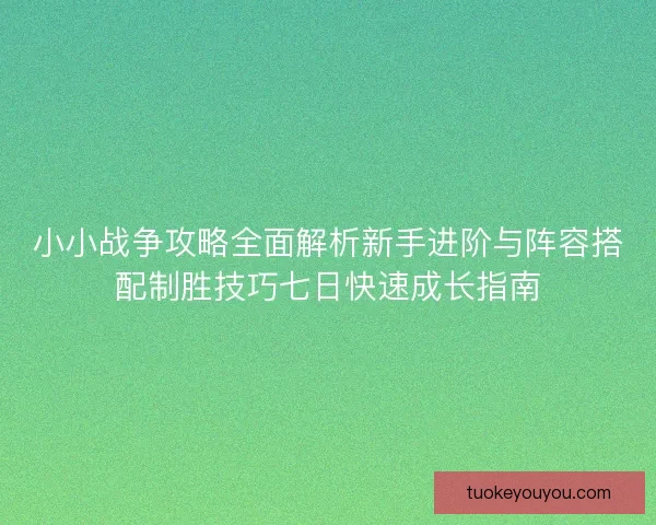小小战争攻略全面解析新手进阶与阵容搭配制胜技巧七日快速成长指南