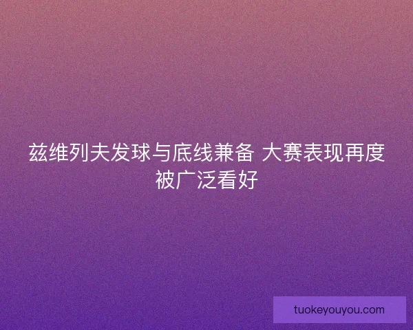 兹维列夫发球与底线兼备 大赛表现再度被广泛看好